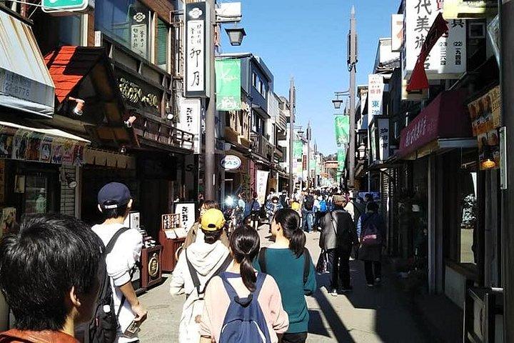 公共交通機関を使った有資格ガイドによる鎌倉8時間ツアー