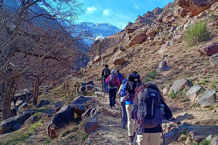 Atlas Mountains Day Trip from Marrakech with Berber Village Hike
