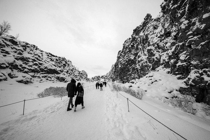 ゴールデンサークルとケリド火山噴火口日帰りツアー（レイキャビク発）