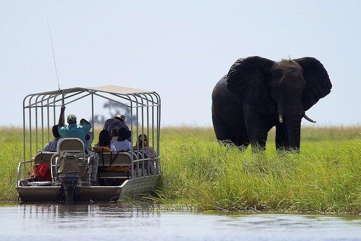 ビクトリアフォールズ発チョベサファリ日帰り旅行 - 少人数グループ