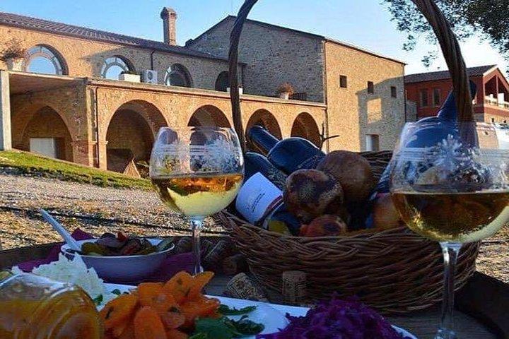 Degustazione di vini e olio d'oliva nei dintorni di Tirana