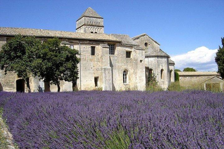 Tour en minivan Saint Remy de Provence y Les Baux de Provence