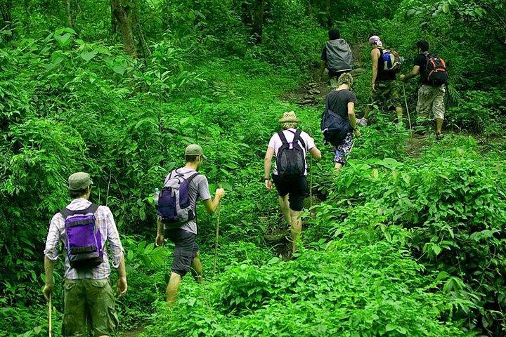 スリランカのKitulgala森林保護区での熱帯雨林トレッキング