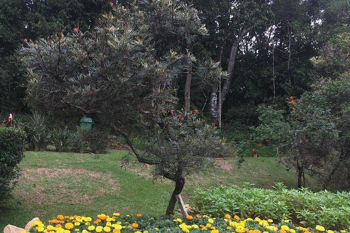 Santo Antonio da Pinhal (Private Car Guided Tour)