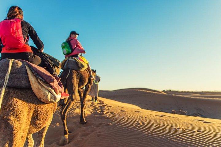 2 Days 1 Night To Zagora Desert From Marrakech: Private Trip