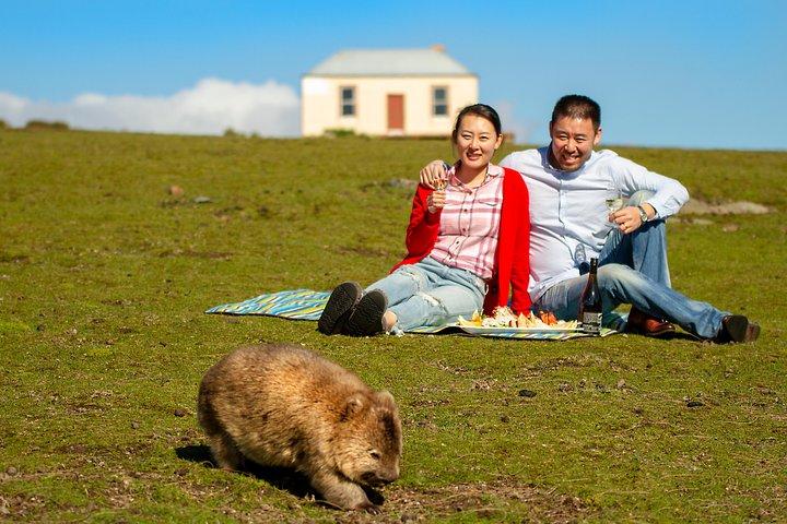Volo panoramico di Wineglass Bay e Maria Island Wildlife da Hobart