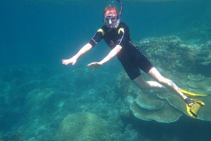 ダンバイ島でシュノーケリング