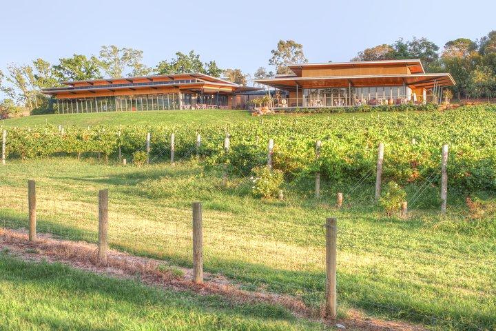 Yarra Valley Wine & Winery Tour da Melbourne - All Inclusive!