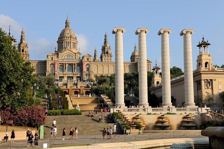 Articket Barcelona Skip the Line Pass : 6つの最高の美術館へのアクセス