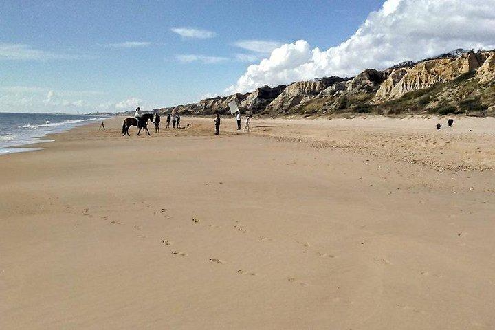 Excursie naar de stranden van Huelva vanuit Sevilla - privétour