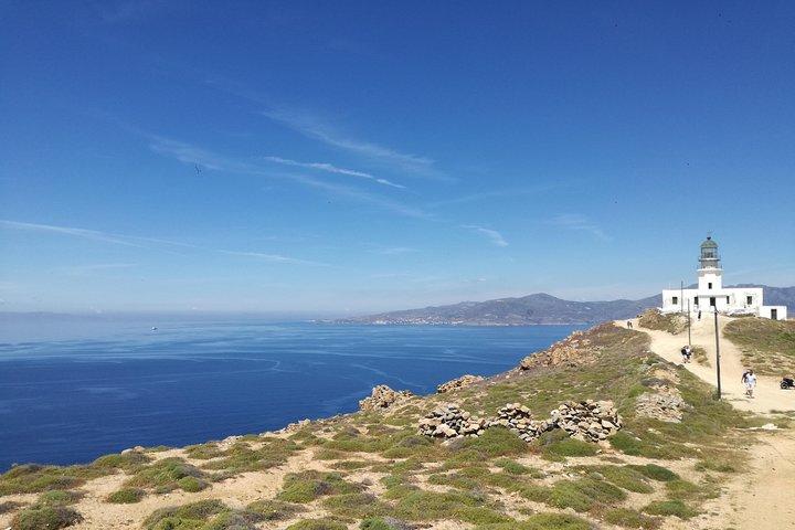 Privat sightseeingtur på ön Mykonos.