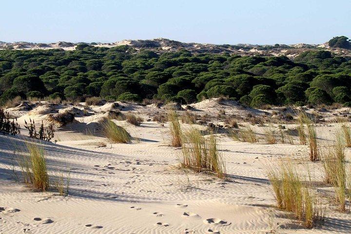 Excursie naar de stranden van Huelva vanuit Sevilla - privétour