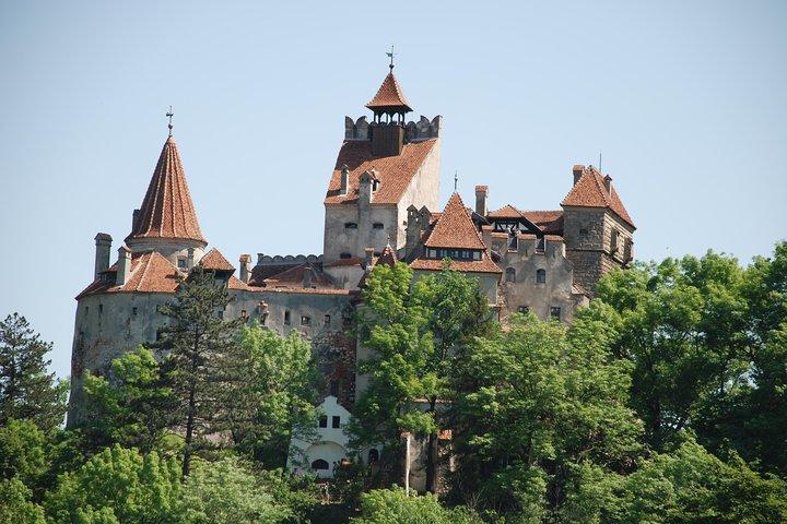 Dracula Castle & Peles Palace Tour från Bukarest Inklusive Brasov Old Town
