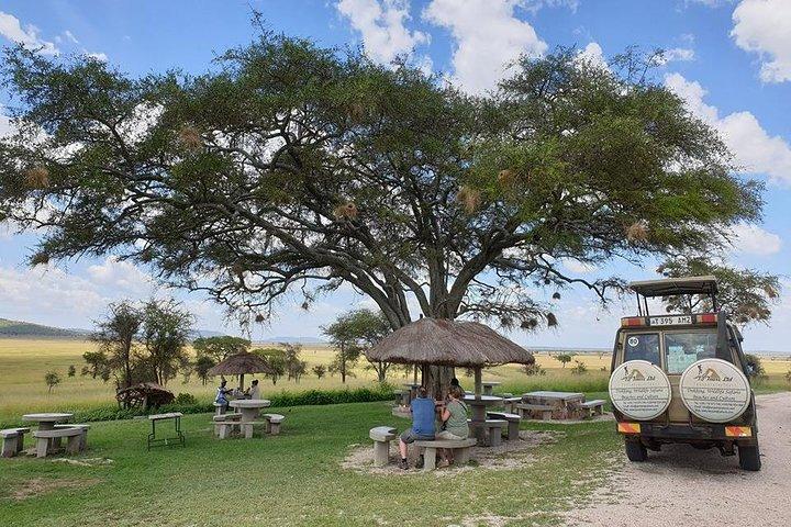 3 Dagen Tanzania Lodge Safari