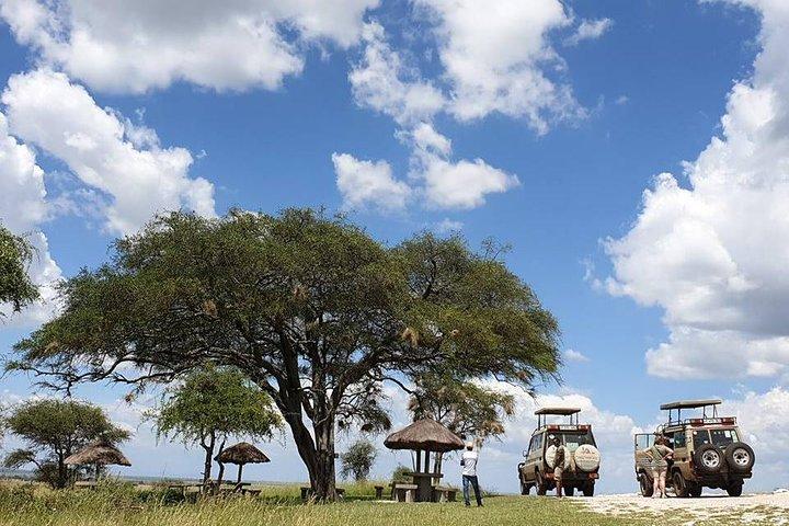3 días Tanzania Lodge Safari