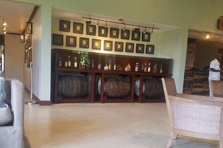 YS Falls and Appleton Estate Private Rum Tour