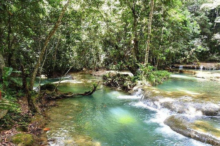 YS Falls and Appleton Estate Private Rum Tour