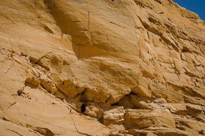 Tour di condivisione di Abu Simbel da Assuan