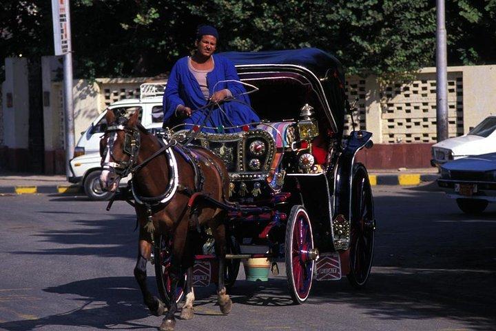 Tour della città di Aswan a cavallo e in carrozza