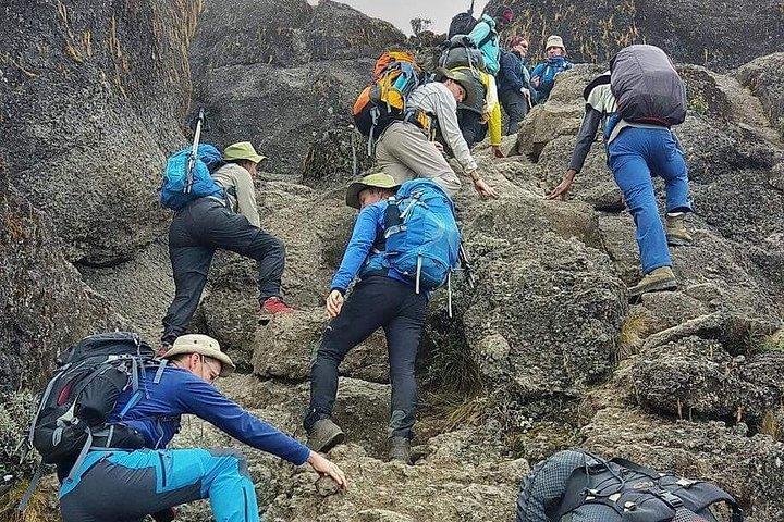 8 días escalada ruta Lemosho
