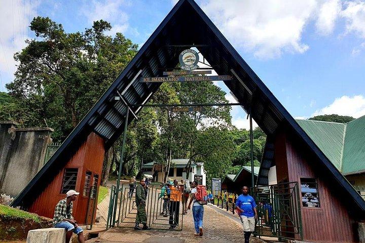 6 Dagen Machame Route Hike