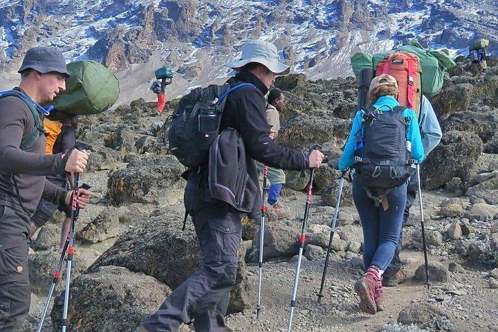 6 Dagen Machame Route Hike