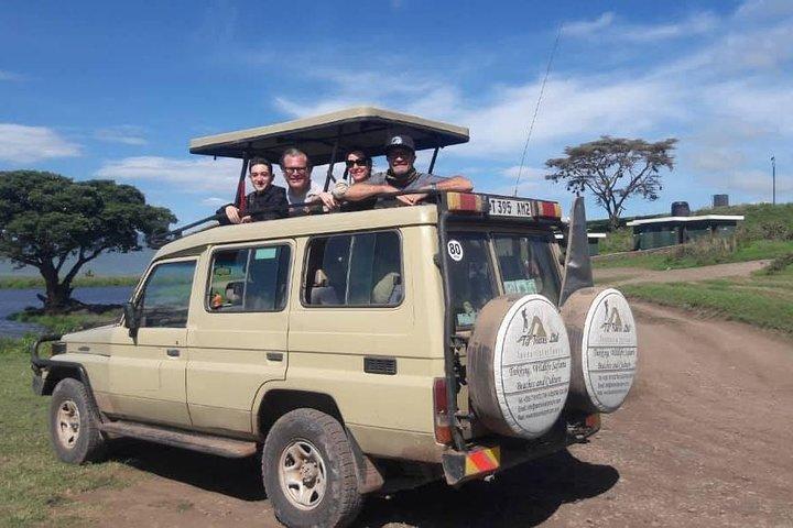 5 dage afrikansk safari