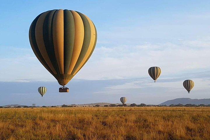 5 dagar afrikansk safari