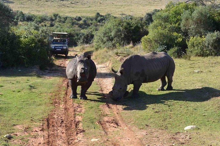 Excursion de 2 jours au cœur sauvage du Cap-Occidental avec transferts privés