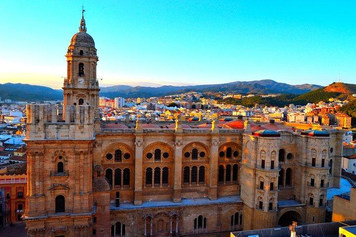 Tour privato di un'intera giornata a Malaga da Siviglia