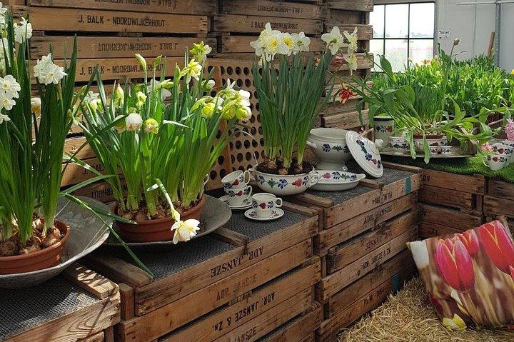 Private Day-trip naar Keukenhof Gardens: Miljoenen bloemen in bloei