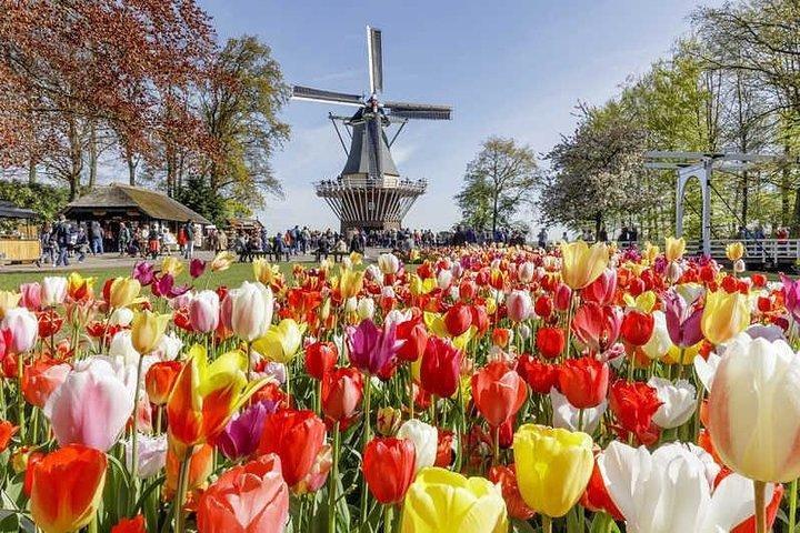 Private Day-trip naar Keukenhof Gardens: Miljoenen bloemen in bloei