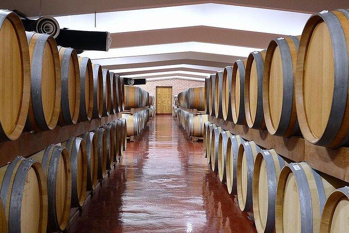 Montenegro vinprovning (privat rundtur)
