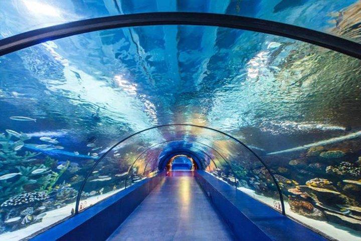 Antalya Tunnel Aquarium - Vertrek vanaf Side