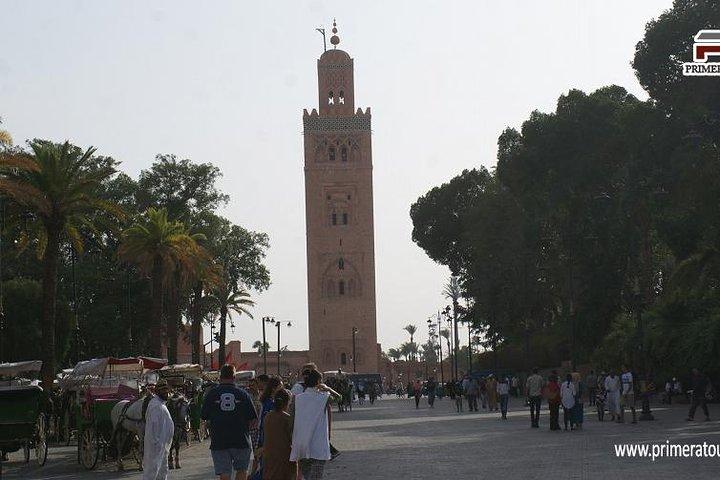 De marrakech: zagora overnight
