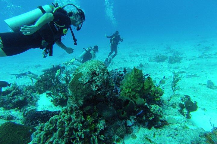 Chankanaab Cozumel mergulho