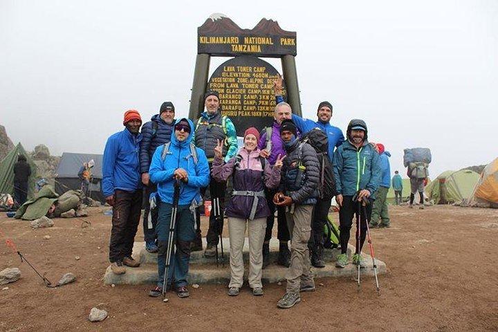 8-dages privat Kilimanjaro-klatring via Lemosho-ruten fra Arusha