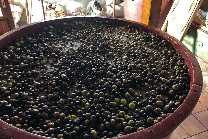 プリコ料理教室と地元の人との貝漁体験
