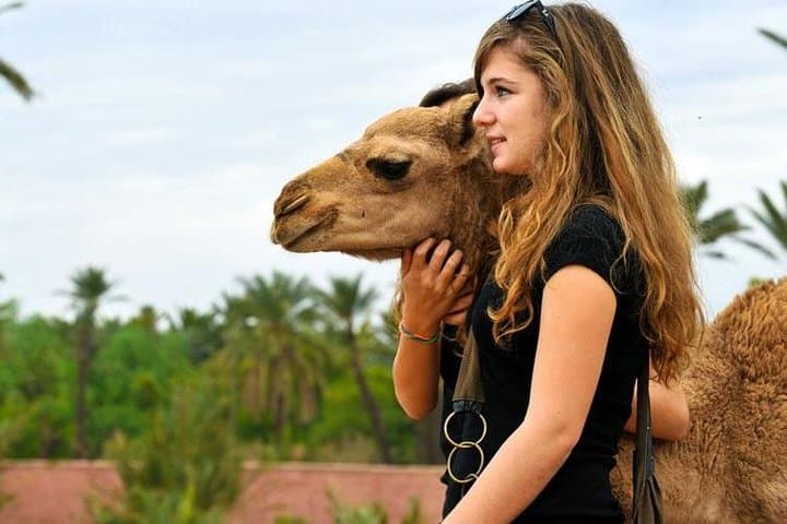 Agafay Desert Day Trip & Atlas Mountains with Camel Ride