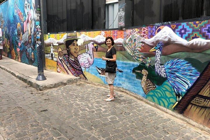 PRIVATE TOUR: Pre-Post Cruise Viña del Mar Valparaiso och Casablanca Winery turné