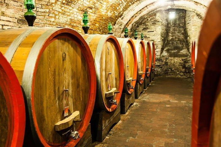 Visite de 6 heures du vin de San Francisco