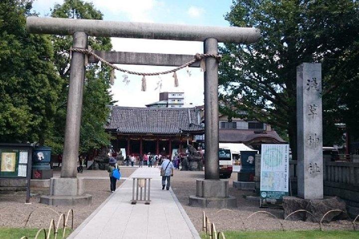 歴史と神道を学ぶ東京プライベートツアー