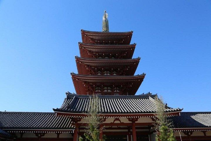 Frit opsat planer Guidede private ture i Tokyo