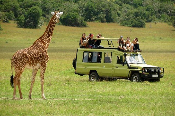 4 X 4 トヨタ ランドクルーザーでのナイロビからのマサイマラ送迎 - 毎日出発