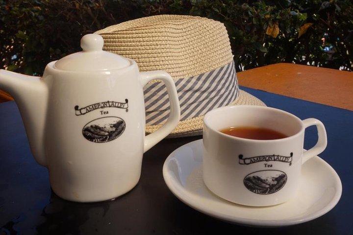 Cameron Highland Beste Tagestour von Ipoh mit Mittagessen (Tagesausflug)