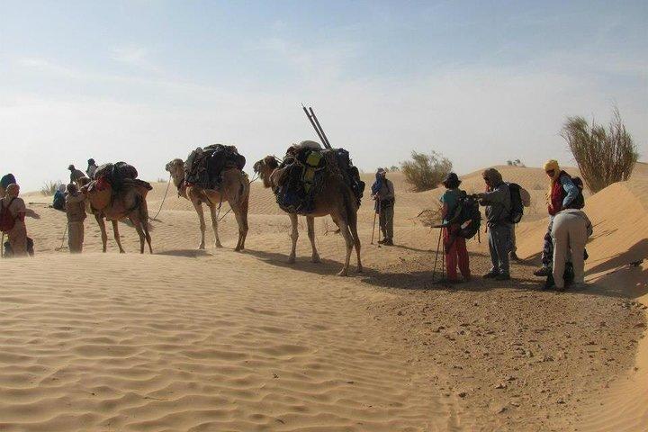 From Tozeur : 3-Day Desert Trip