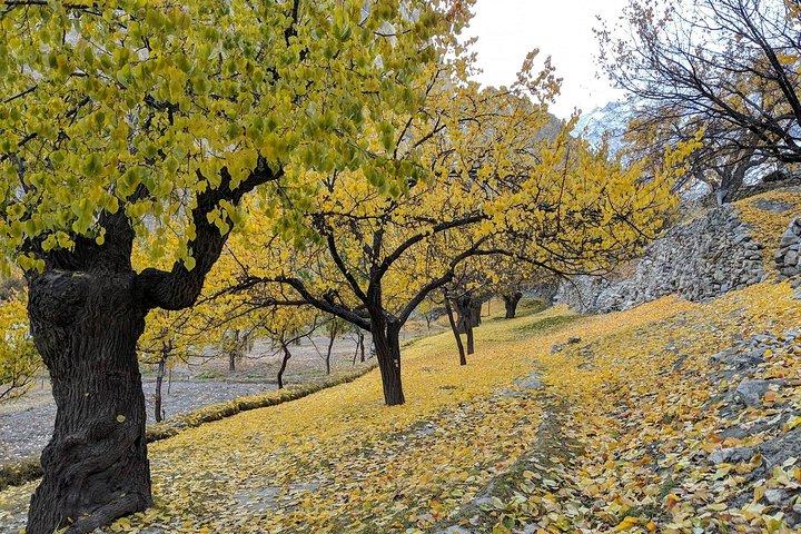 Tour autunnale di Hunza