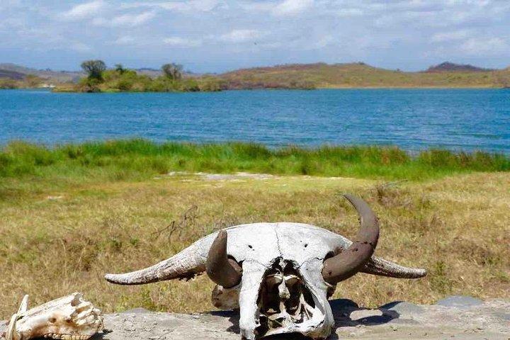 Dagtrip naar het Arusha Nationaal Park