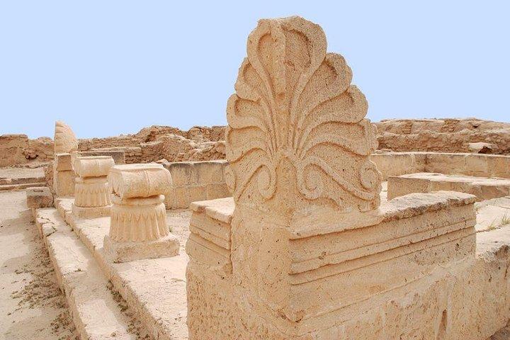 Tour di un'intera giornata dell'isola di Filaka a Kuwait City