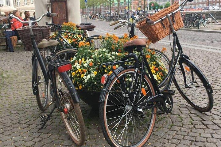 Kopenhagener Fahrradabenteuer